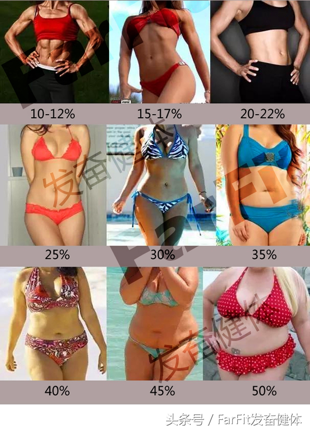 体脂率到底怎么算才准确,体脂最佳标准是什么