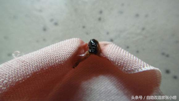 天然环保壁纸也有陷阱？！最远的路，果然是Jian商的套路啊！