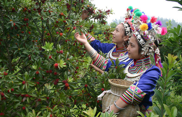 怀化靖州乡村土特产,湖南怀化靖州特产小鱼干