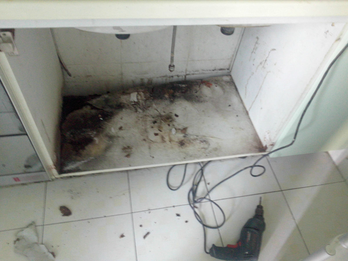 厨房橱柜很臭怎么处理,超级恶心的厨房