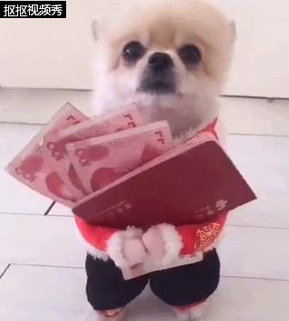 狗狗主人伸手要却不给钱瞬间回头,狗狗拿出零花钱给主人