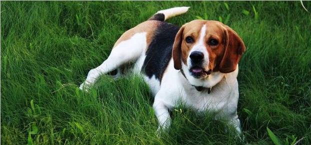 治愈孤独十件事清单,孤独是一剂最猛烈的毒药