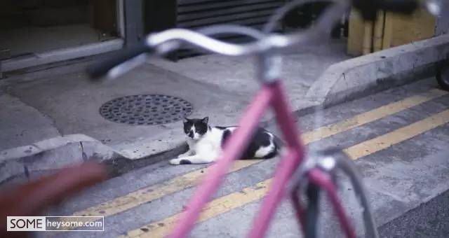 骑自行车很优雅,骑单车就得骑出优雅的感觉