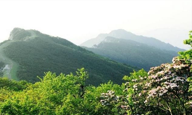 春风里，大爱罗田！