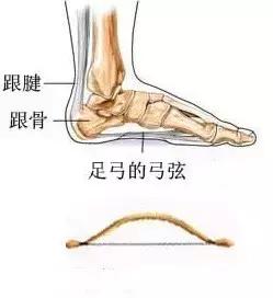 脚后跟长了骨刺怎么办,脚后跟长骨刺怎么推拿