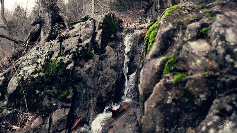 普洱茶喉韵怎么样,普洱茶喉韵指的是什么