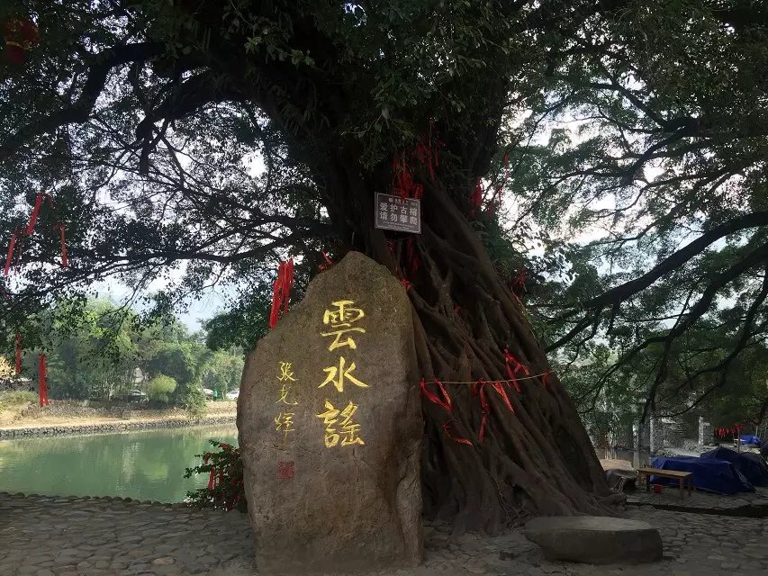 八千里路云和月的上一句,八千里路云和月一骑绝尘上珠峰