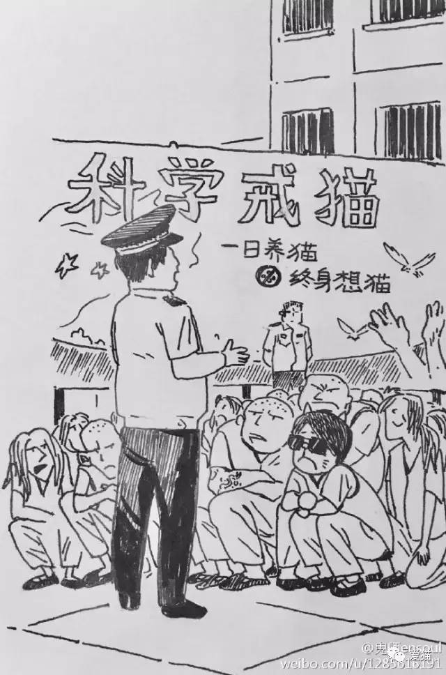 我有“猫”病，请问你有药吗？