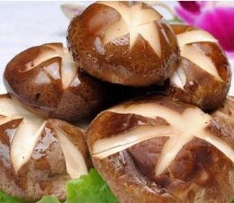 脂肪肝食疗偏方有哪些,脂肪肝非药物治疗