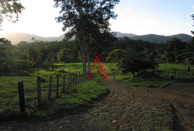 全球顶级巧克力测评,国际公认的顶级黑巧克力