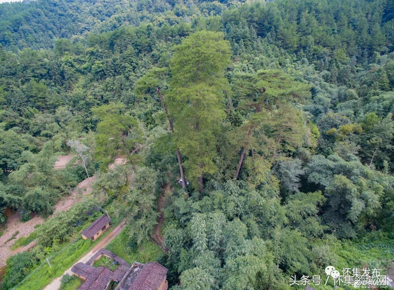 凤岗田螺村,怀集县凤岗镇田螺寨