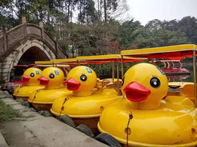 鑺辨捣閲嶇鏉ヨ,鑺辨捣鏉ヨ