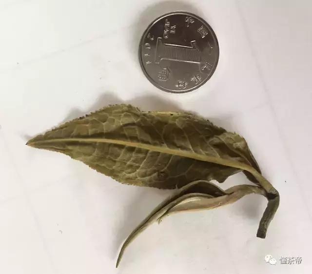 云南碧螺春价格一般是多少,云南碧螺春怎么泡最好