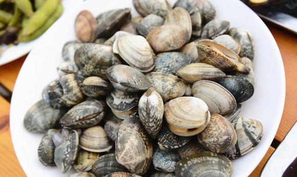 秦皇岛海鲜吃到爽,秦皇岛海港区吃海鲜靠谱便宜