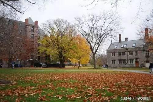 如何选择留学机构,选择日本留学机构