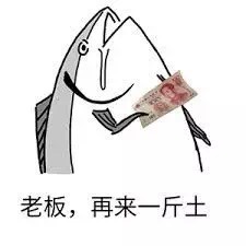 情人节情话简短一句话怎么说,情人节给女朋友写的情话520个字