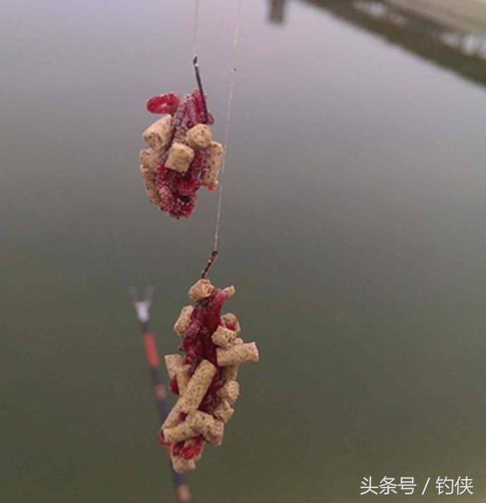 蚯蚓盒保存蚯蚓的方法,红虫蚯蚓粉的使用方法