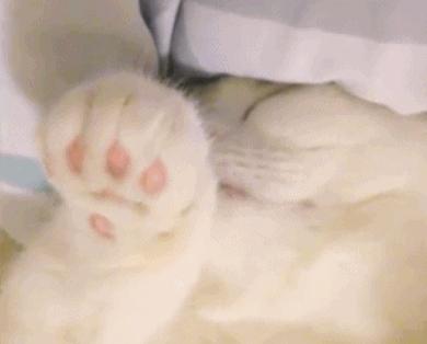 幼儿急疹的斑丘疹多久消失,幼儿急疹是否有痒的案例