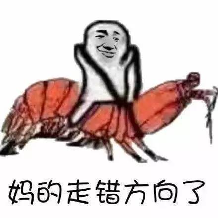 皮皮虾，我们走，为我们的车主保养去！