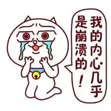 看过中国诗词大会的感受,看中国诗词大会的感想