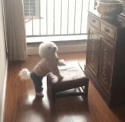 什么样的女友才是真的好,怎样才是一个好女友