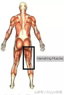 骨盆倾斜长短腿跑步有什么危害,骨盆倾斜对健身的影响