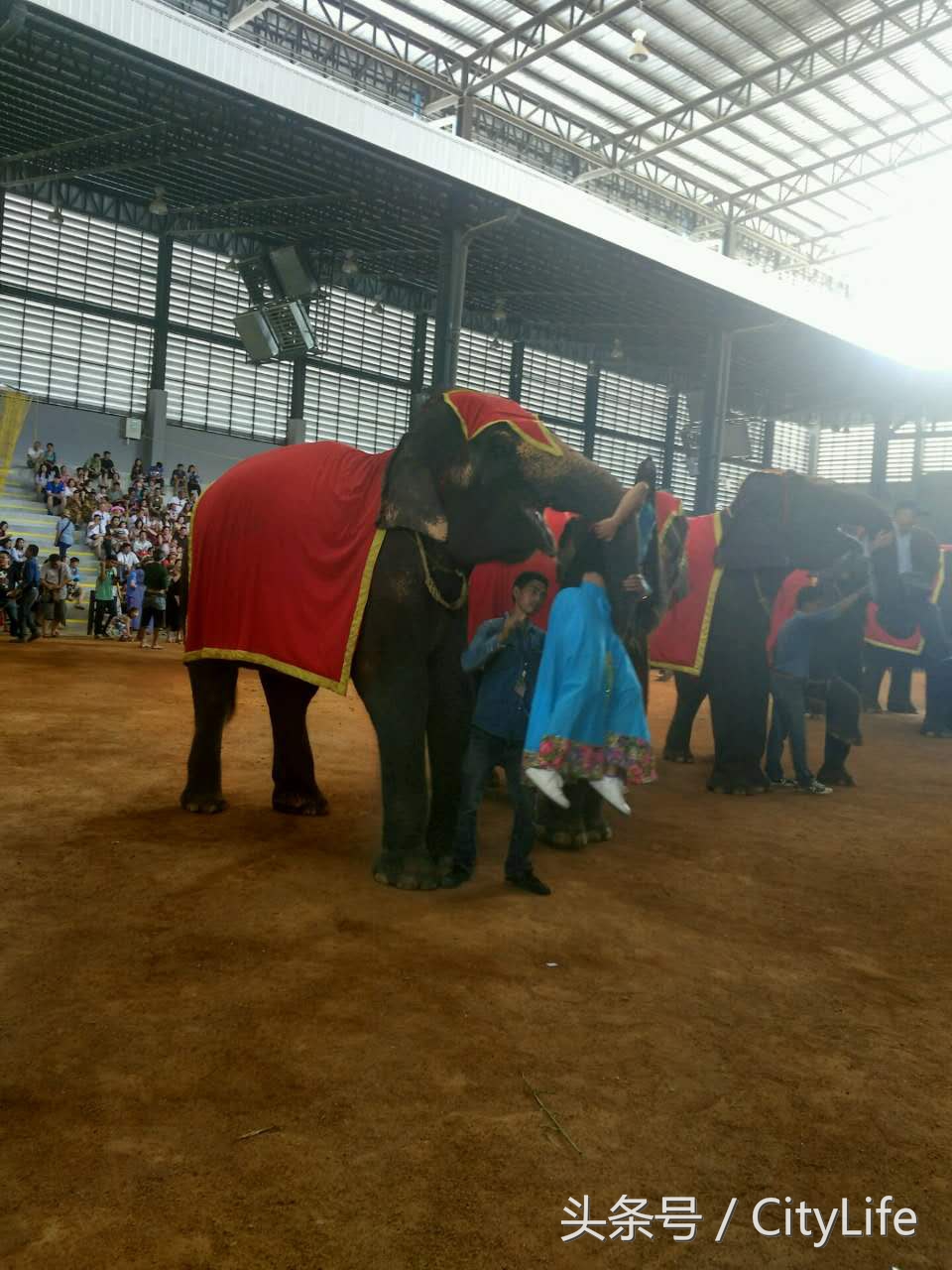 泰国芭堤雅东芭乐园,泰国芭提雅东芭公园
