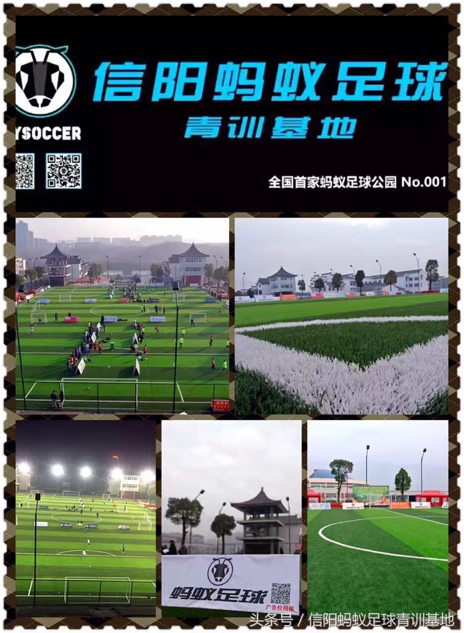 信阳蚂蚁足球俱乐部,暑期足球培训营青训