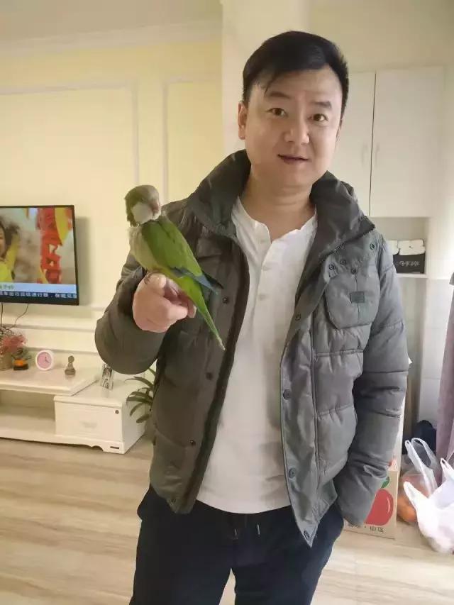 长沙人爱养什么品种的鸟,长沙人为什么喜欢养乌龟