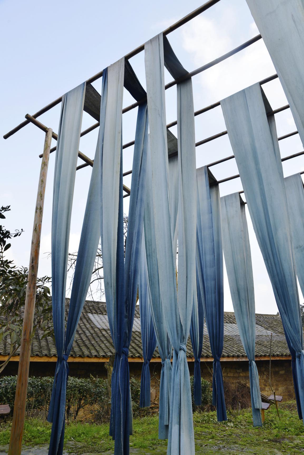 成都明月村一日游,成都明月村值得去吗