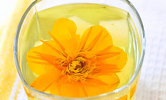 治咽炎最好的野草图片,野生草有哪些可以治咽炎