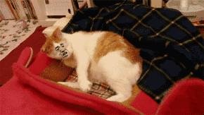 让人第一眼就震撼的手机壁纸,8k顶级黑色震撼壁纸动态