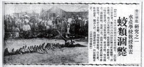 龙存在的证据大全,古代龙真实存在吗