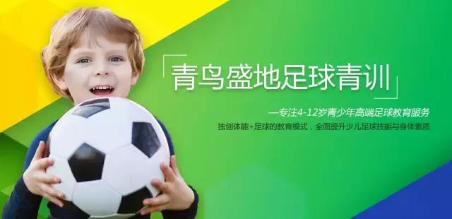 青鸟足球青训,青鸟足球训练营
