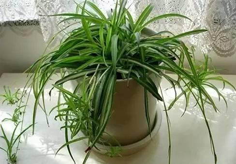 地板需要考虑甲醛超标吗,德尔强化地板甲醛含量是什么级别