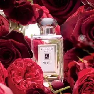 哪款香水是玫瑰味的,淡玫瑰香气的香水推荐