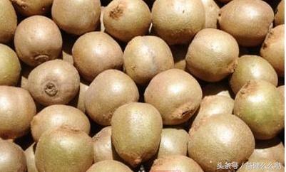 怎么让眼睛看起来不呆滞,怎样让眼睛看起来有精神不虚