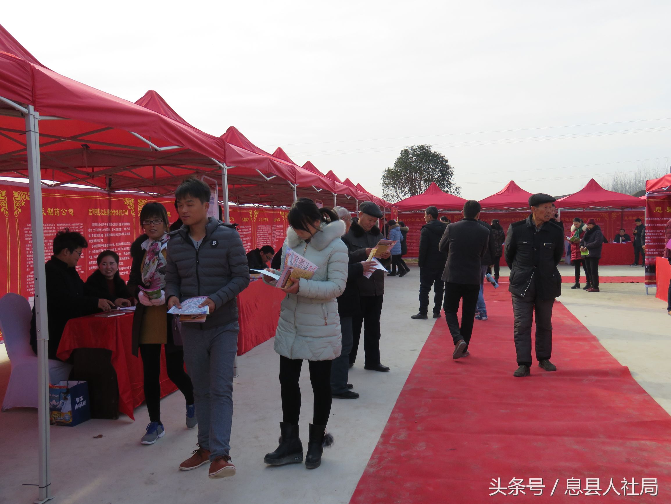 河南新蔡春风行动,信阳市春风行动