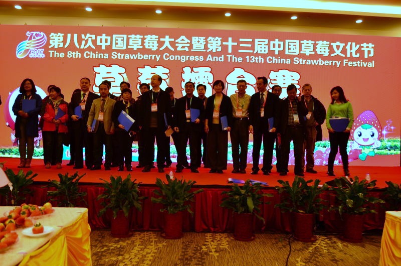 谁是草莓界的NO.1？国内外最好吃的草莓都来长丰打擂！