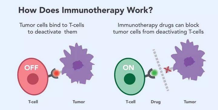看自身免疫性疾病到哪个科室,自身免疫性疾病是先天得的吗