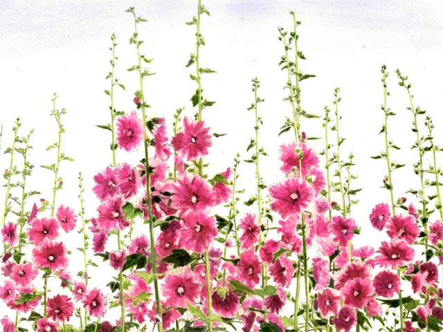 苏州周末·喜欢艺术的你可不要错过当代水墨人体画实验展