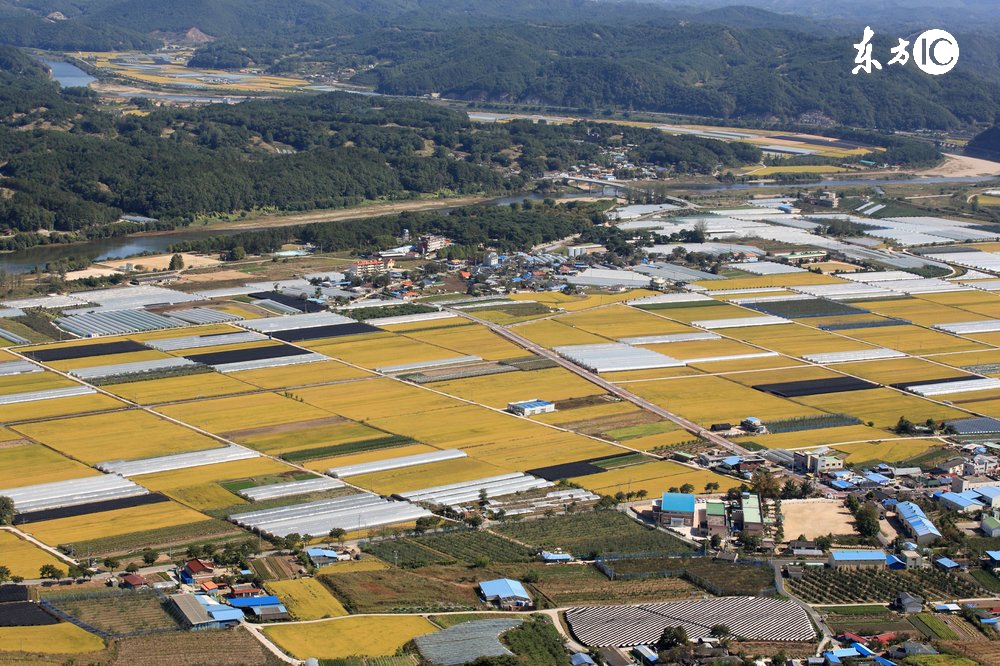 有合作社还可以办理家庭农场吗,有合作社可以申请家庭农场吗