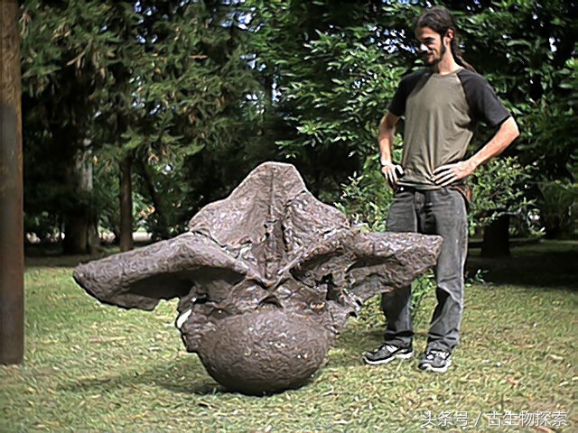 普尔塔龙恐龙视频,普尔塔龙