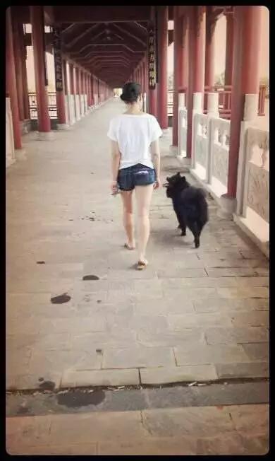 长沙宠物蜥蜴品种有哪些,别人家养的宠物蜥蜴食肉动物