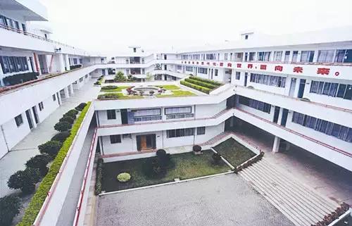 团团带你逛校园系列,团团带大家观校园