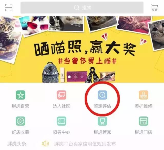 chloefaye小号真假,chloefaye包真假对比