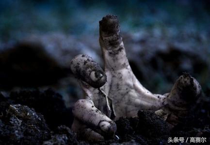 无数年的恐怖鬼故事,扎着马尾的女孩恐怖故事