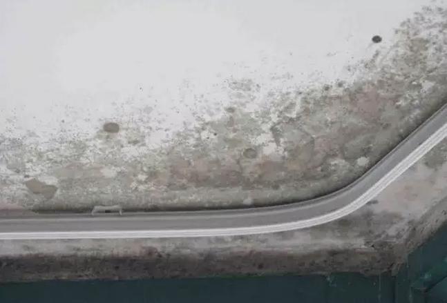 墙壁发霉发黑该怎么处理,墙壁黑色发霉怎么办