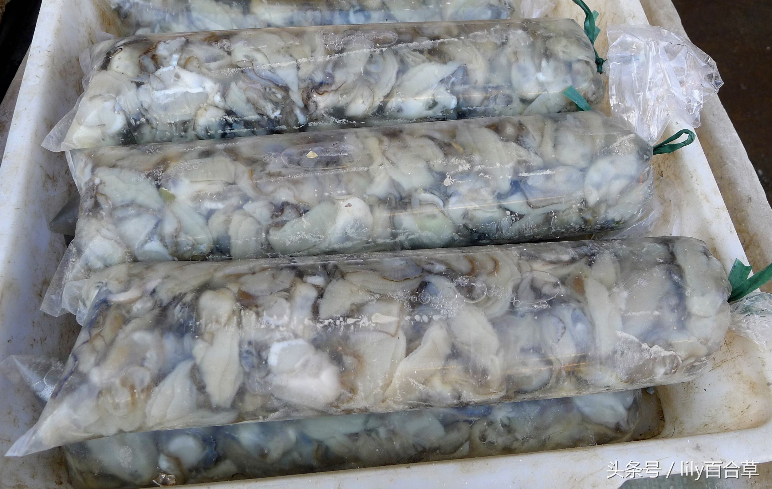 哪些海鲜可以带回家,回家路上可以带海鲜吗