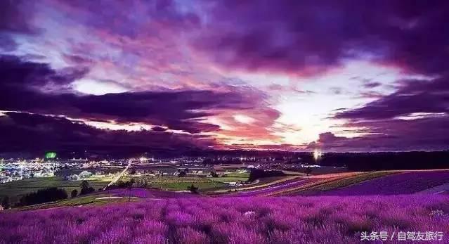 湖南赏花自驾游攻略,湖南旅游赏花攻略